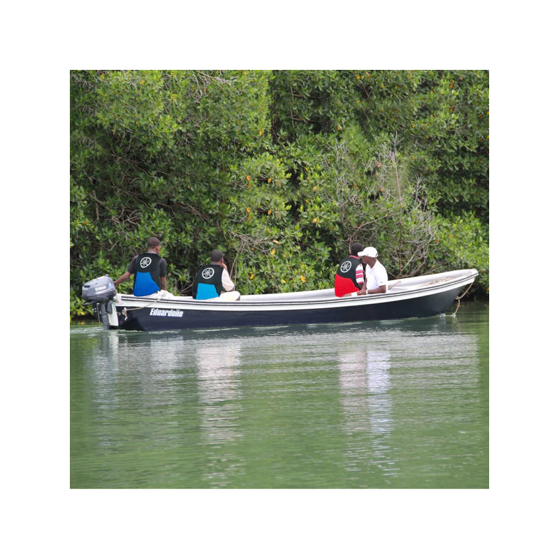 BOTE TRANSPORTE 210