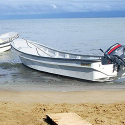 CORVINA 250