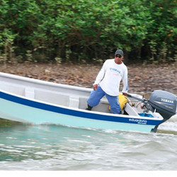 DORADO 140